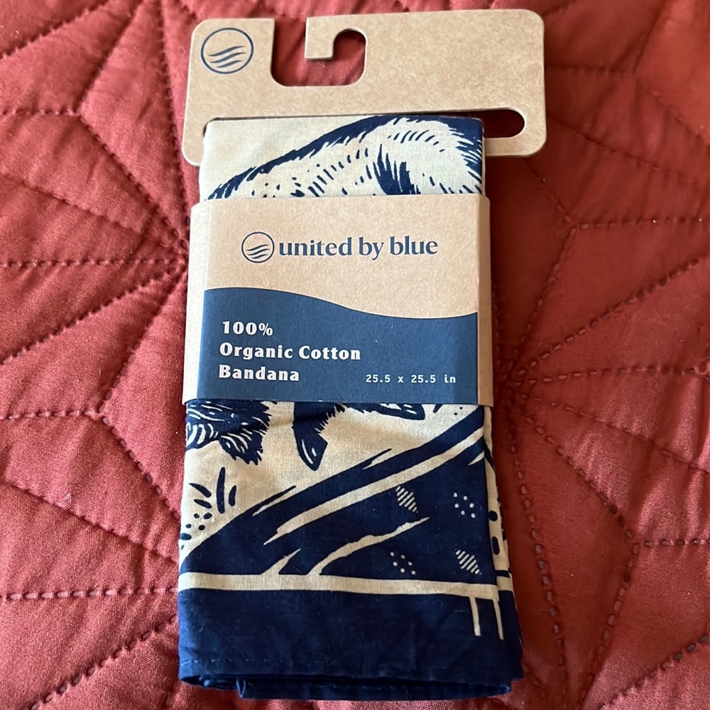 Blue bandana